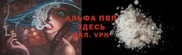 a pvp Белокуриха