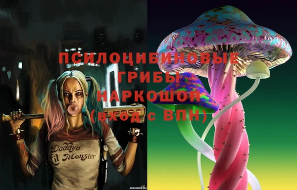 a pvp Белокуриха